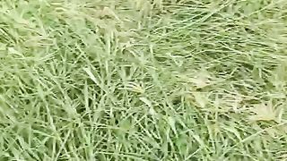 Rhodes grass video viral