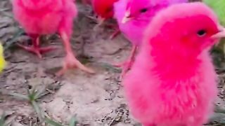 cute cute little f*** colorful