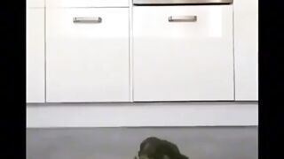 Try not to laugh