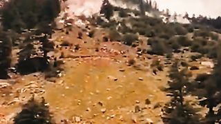 nature _amazing _tsunami