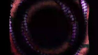 34 NEW SEASON RINGS