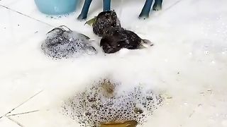 Beautiful video