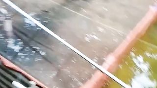 Begini cara saya mengurus INDUK LELE agar MATANG GONAD