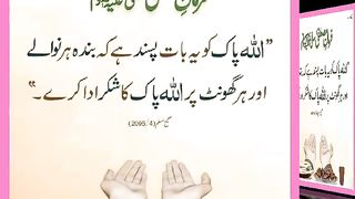 اسلامی معلومات Like share follow