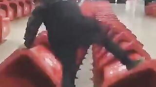 Amazing videos
