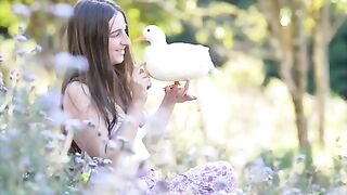 Little ducks in the garden