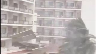 funny videos of Pja