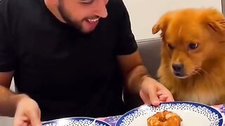 funny videos of Pja