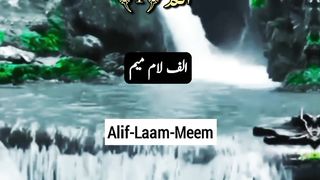 Holy Qur'an