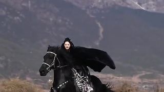 horses and their owners
