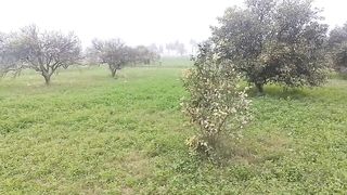 Sehar village kausar atiq village