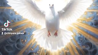 You fly like a dove