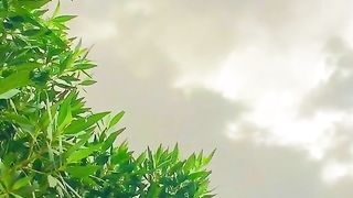 new video