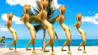 Patila dance challenge dame tu cosita