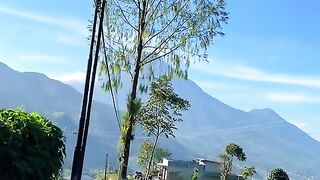 Pemandangan adem