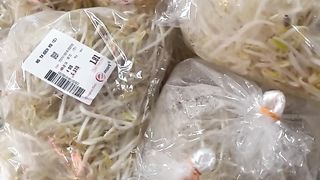 Sayur Taugeh