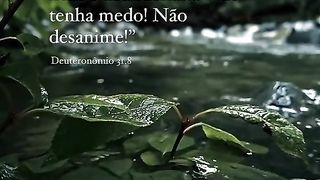 Não desanime!
