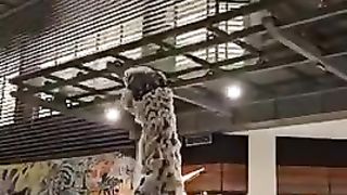 Lion dance white