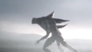 5 Mysterious Creatures Caught on Camera
