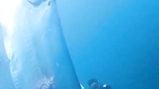 Divers discover giant 'Doomsday Fish' off the coast of Taiwan.