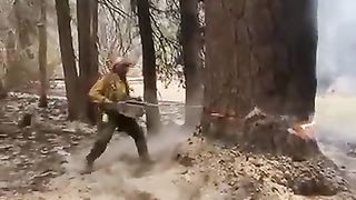 Internal flames of a tree struck by lightning.
