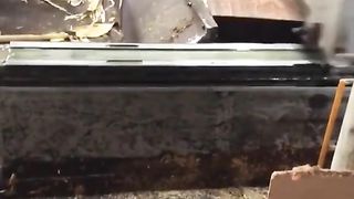 Amazing videos vol 549