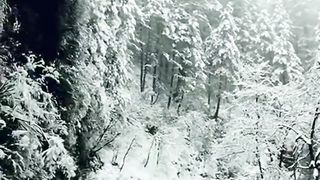Heavy Snowfall on Galiyat Road 2024