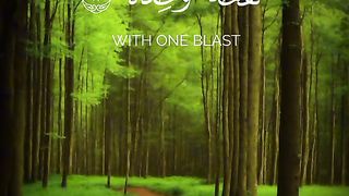 Qurani Ayat #