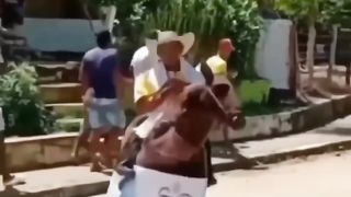 Video komedy