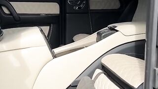 Mr. Benz super fast Mercedes