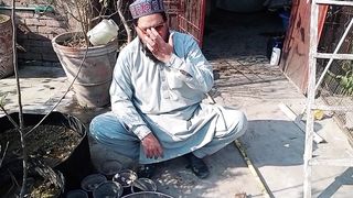 چھوٹے گملوں میں گنے کا بیج کیسے لگایا جاتا ہے