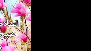 السلام علیکم ورحمۃ اللہ وبرکاتہ صبح بخیر