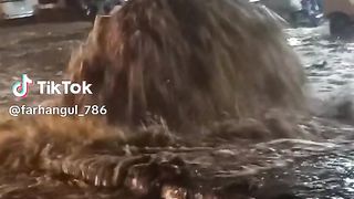 Viral video status