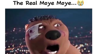 The Real Moye Moye