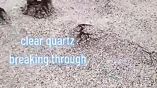 Amazing videos vol 552