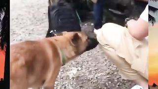 Funny Video