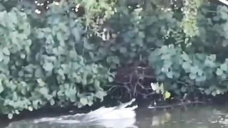 fishing ??