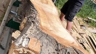 Slicing some cool forked slabs