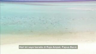 VLOG PRISEDENT INDONESIA ke-7 !! Pak Jokowidodo