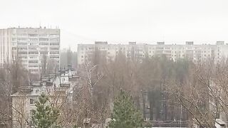 Все по плану: сирени у Воронежі