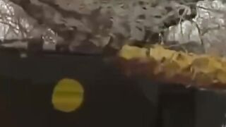 Оце так: маскувальна сітка ЗСУ піймала два дрони русні!