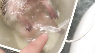 lets take a bath