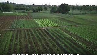 Mostra a vida política no campo ???? #Agricultura #Família #Campo