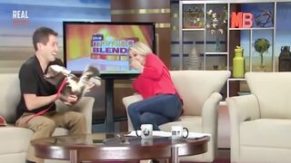 Funny Bloopers and Fails On Live TV