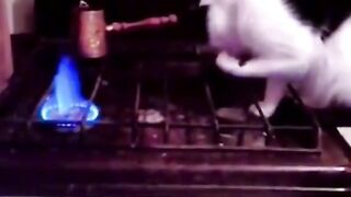 funny moments