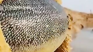 Vídeo interessante para entreter vocês