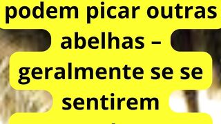 10 curiosidades interessantes que você precisa saber #01