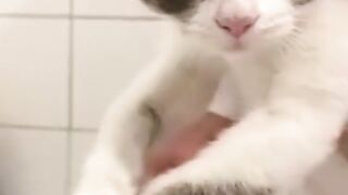 My god, so cute!!
