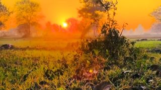 Beautiful Sun View in Village | Calm and Relax View | Beautiful Weather | ASMR Video | Febspotvideo
