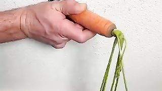 Why you should hide a carrot in your wall ????